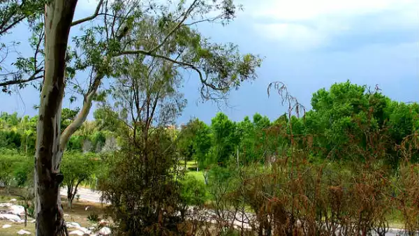 Parque San Luis Potos�