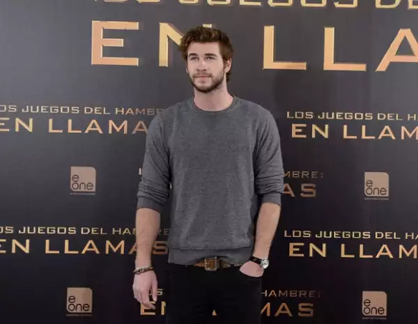 Liam decidió por fin ponerle fin a los rumores.