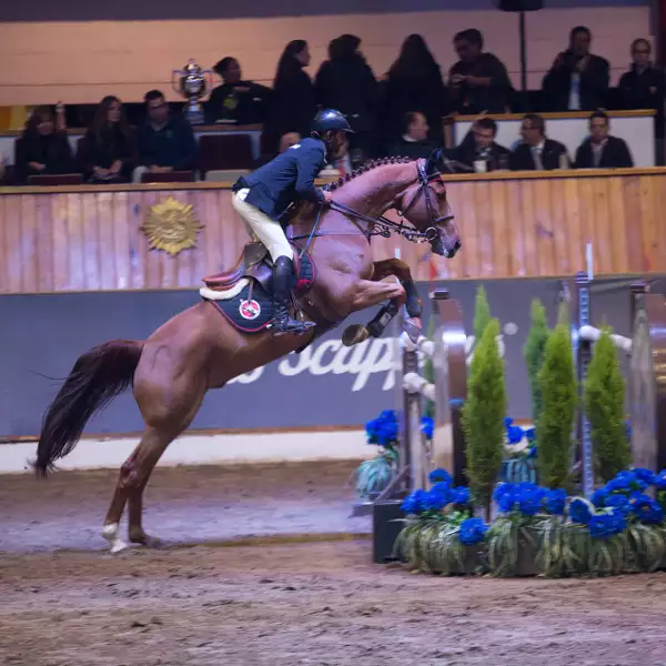 Copa Audi-Scappino
