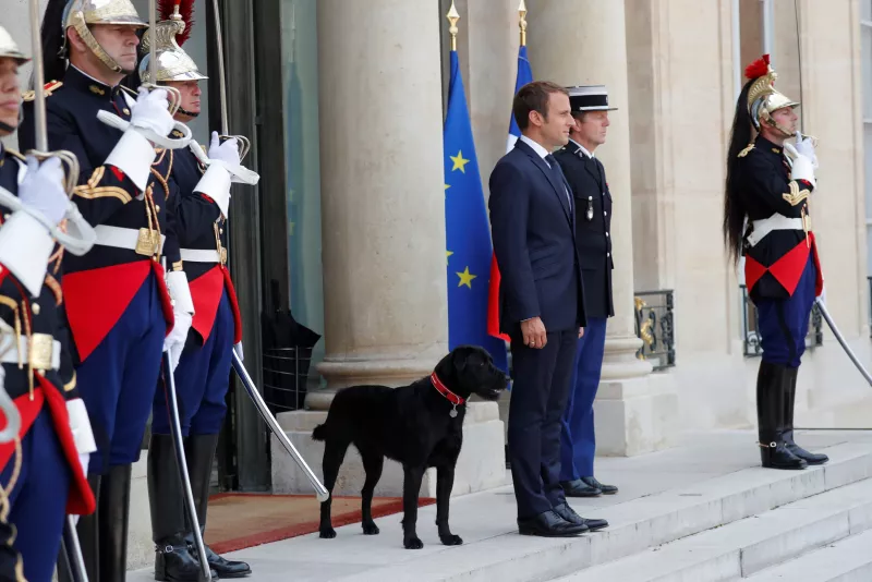 Macron y su mascota