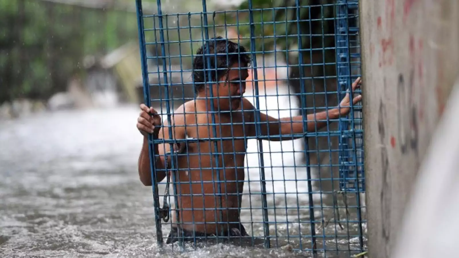 China tifón Usagi 5