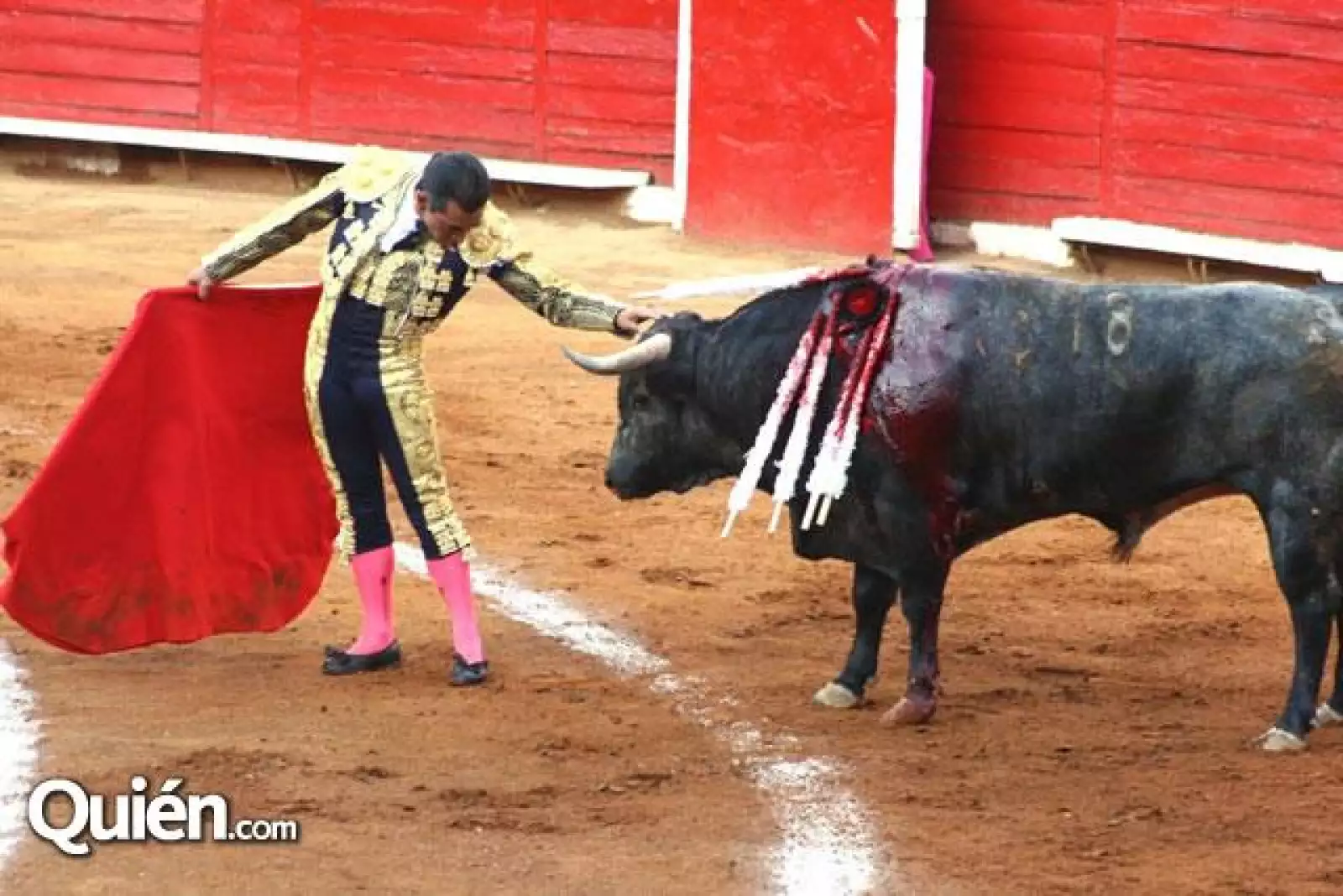toros 1 fecha