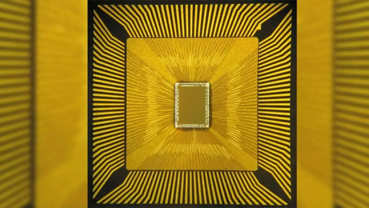 IBM chip cerebro