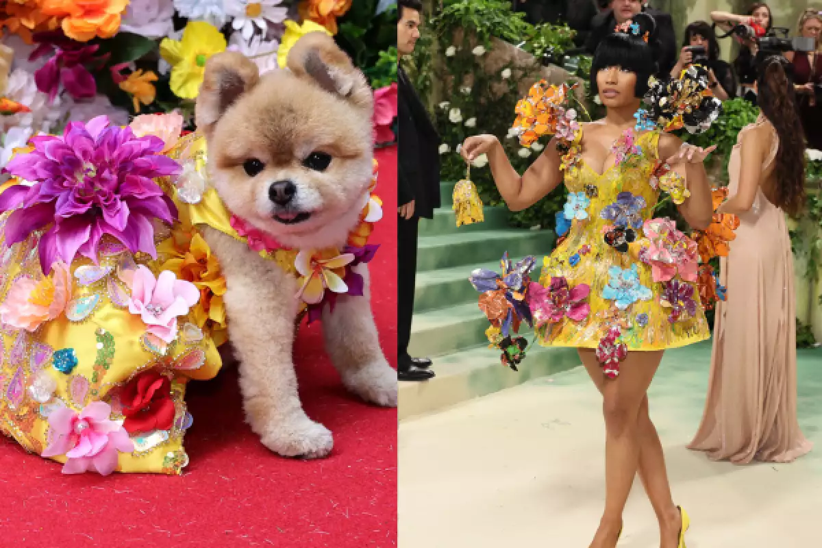 La Pet Gala: todos los perritos que recrearon looks de la Met Gala 2024