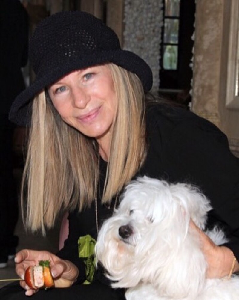 Barbra Streisand jamás podrá reemplazar a la pequeña Samantha