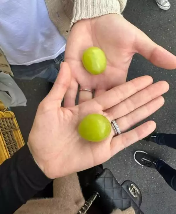 michelle-salas-japon