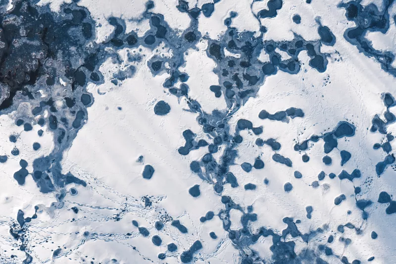 circulo-artico-calentamiento-global