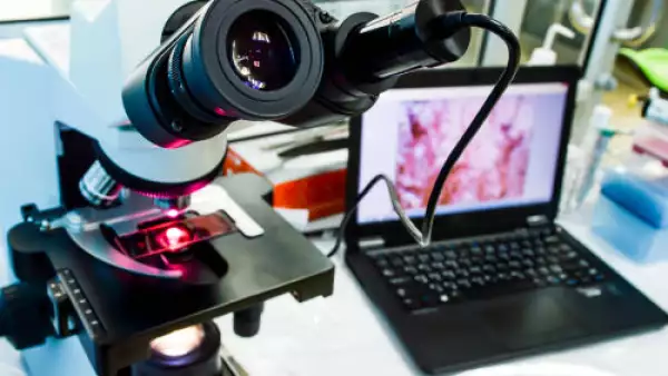 industria de alta tecnolog�a 1