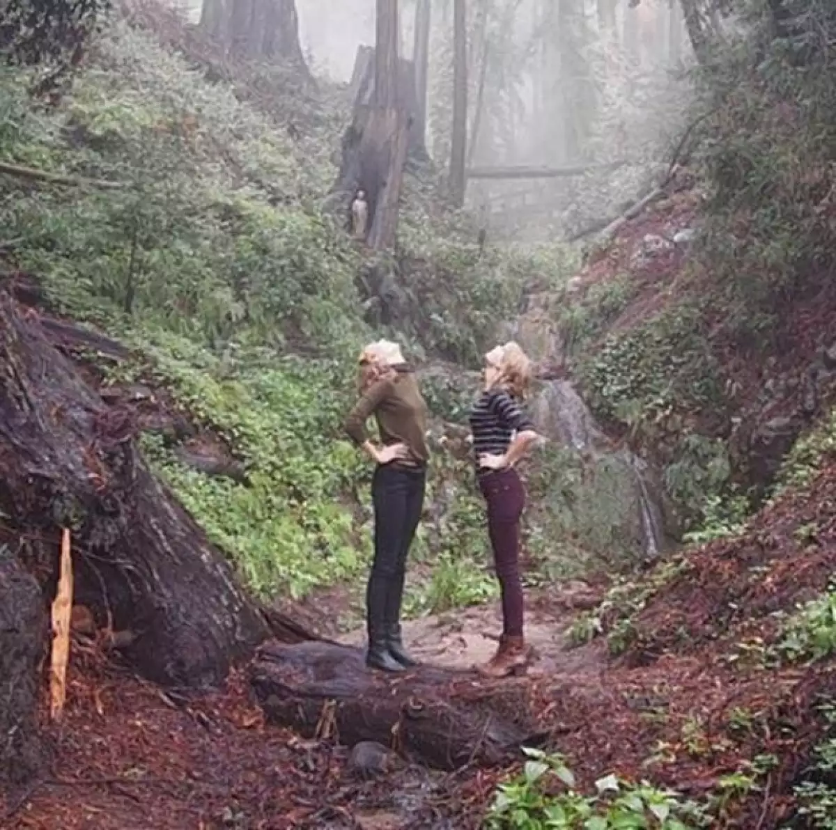 La modelo y cantante mostraron su amistad en el desfile de VictoriaÂ´s Secret.