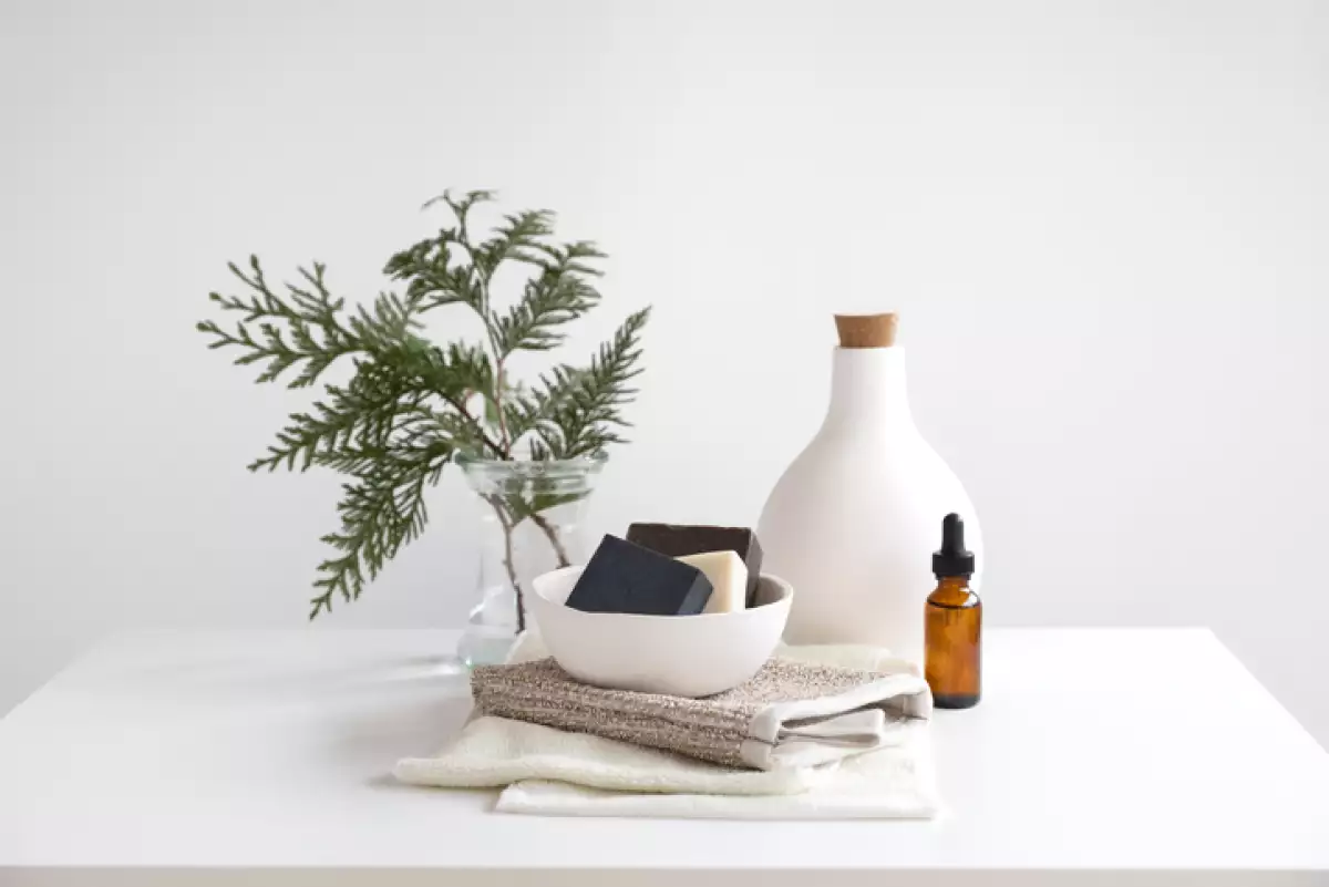 Plantas para dar un olor fresco a tu hogar 
