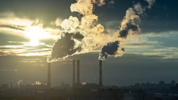 Net Zero y su importancia