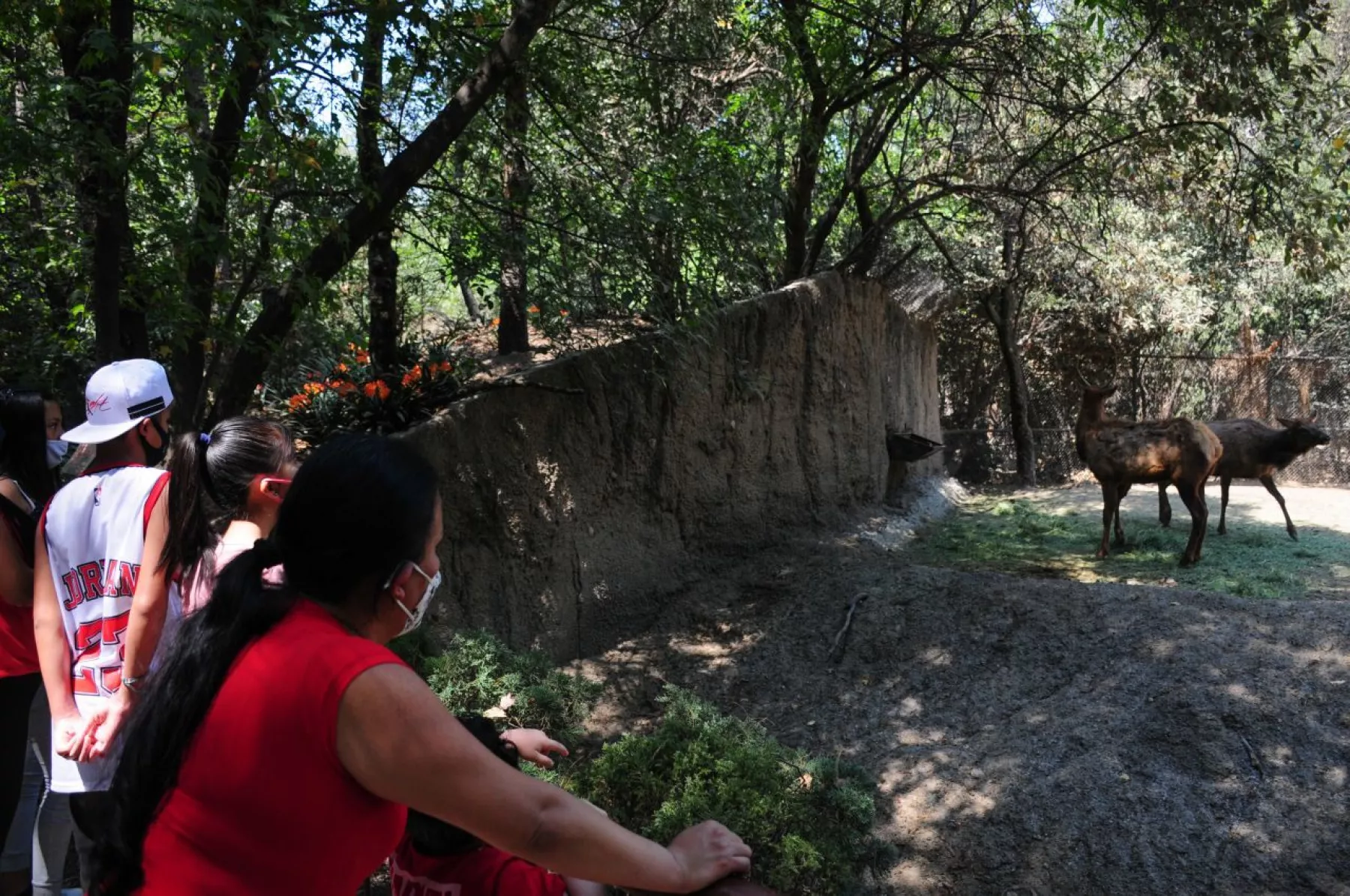 zoologico-cdmx-