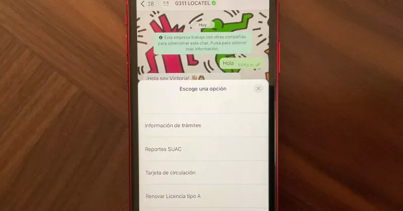 renovar-licencia-cdmx-whatsapp