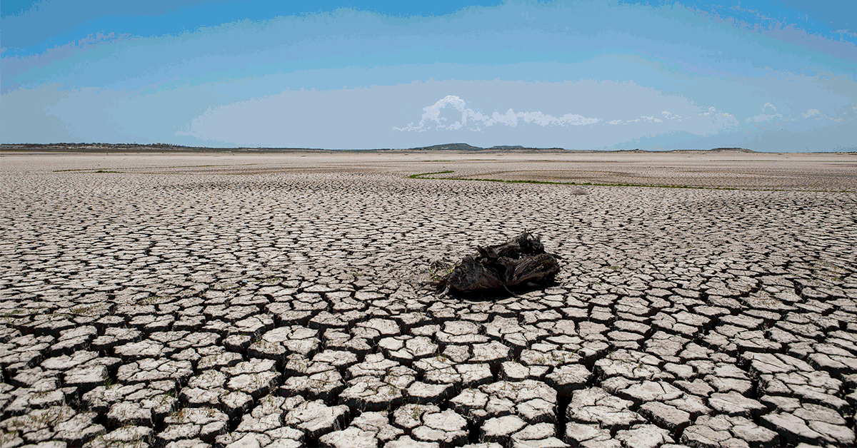 La crisis hídrica en Monterrey hace eco en el sector vitivinícola de México