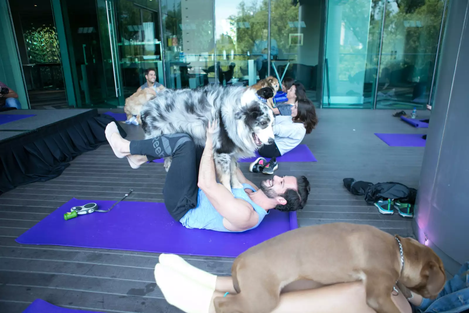 Doga Class