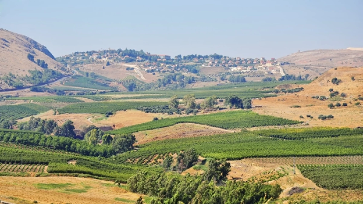 altos de golan