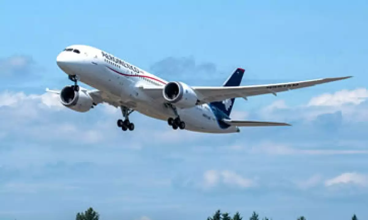 Se busca promover un ecosistema sustentable, afirmó Aeroméxico. (Foto: Tomada de facebook.com/AeromexicoViajes )