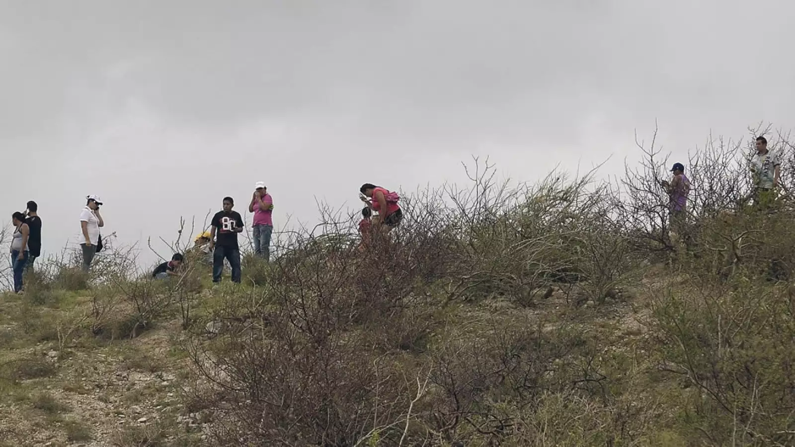 Residentes buscan señal celular