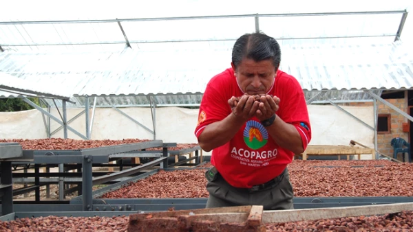 TCHOSource es nuestro �nico programa dedicado a colaborar directamente con los productores y trabajar estrechamente con ellos para producir un gran cacao.