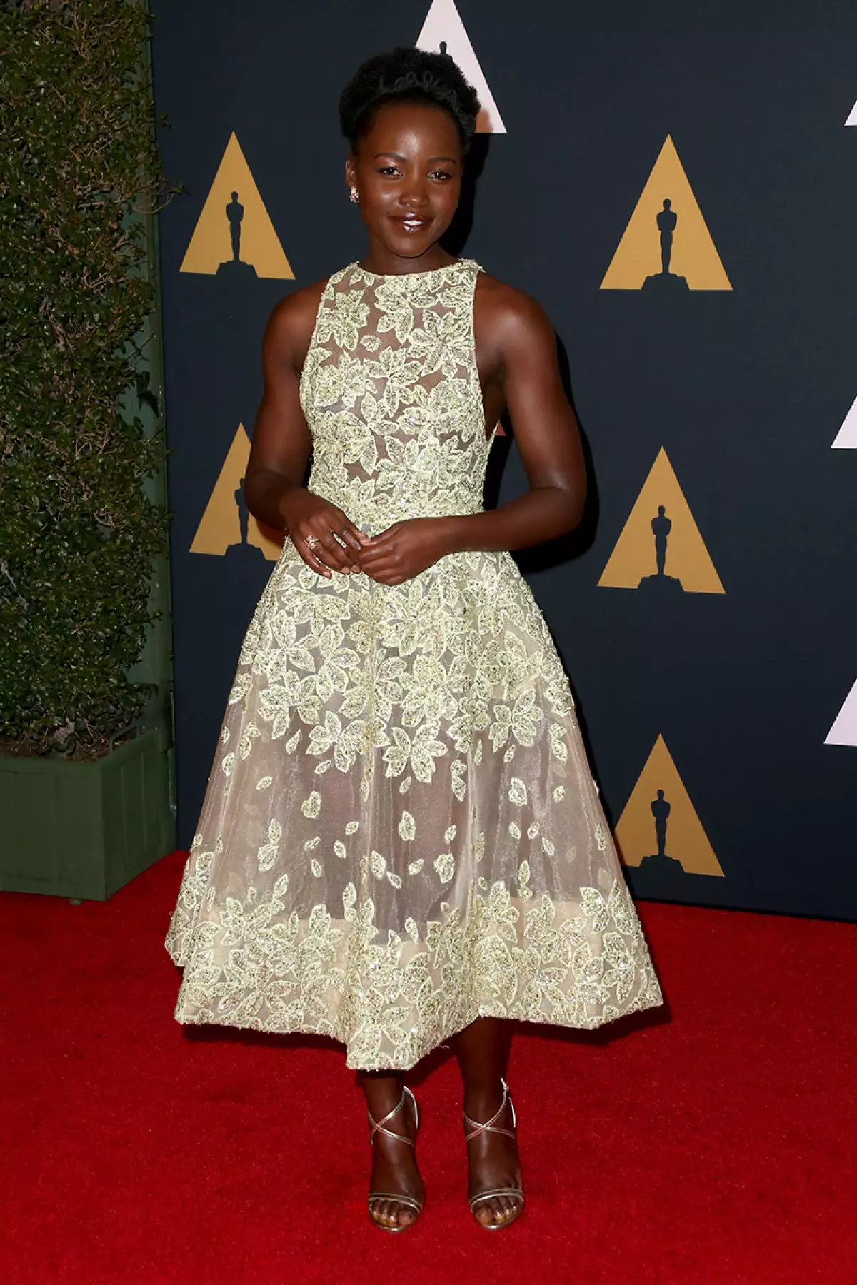 Academy Of Motion Picture Arts And Sciences' 8th Annual Governors Awards - Arrivals