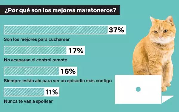 ¿Son mejores las mascotas?