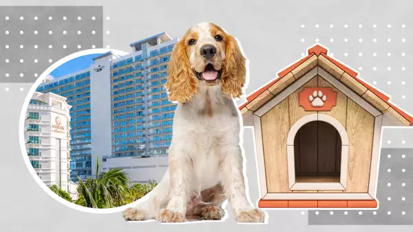 Las mascotas imponen tendencia en el desarrollo inmobiliario