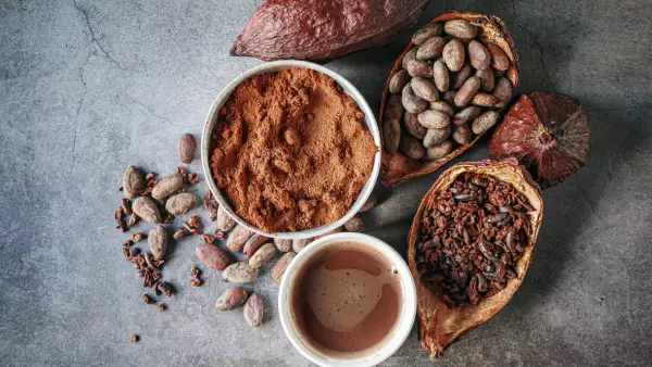 Top view of Cocoa drink, Natural cocoa powder with brown cocoa beans and cacao pod on a gray background