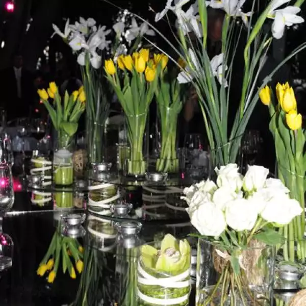 Boda Juan Arturo Covarrubias, Tatiana Plasencia