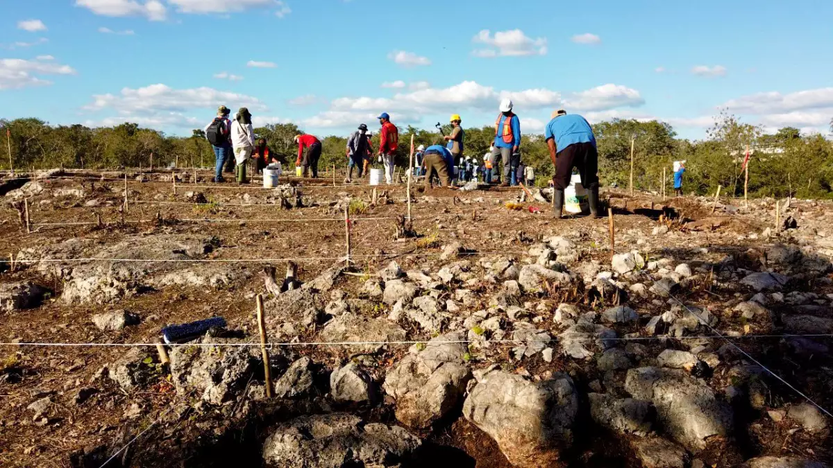 Hallazgos arqueológicos del Tren Maya del Tramo 4