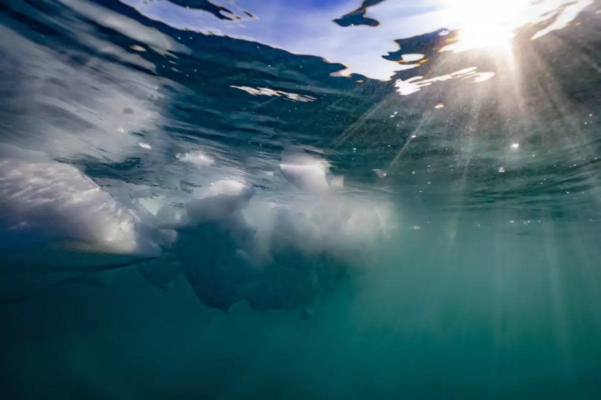 Esta fotografía submarina tomada el 16 de agosto de 2023, muestra fragmentos de un iceberg que se derrite debido a temperaturas inusualmente altas en el fiordo de Scoresby, Groenlandia.