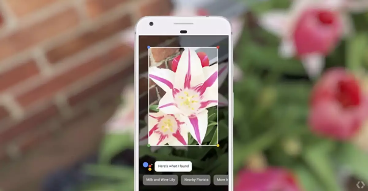 Google Lens