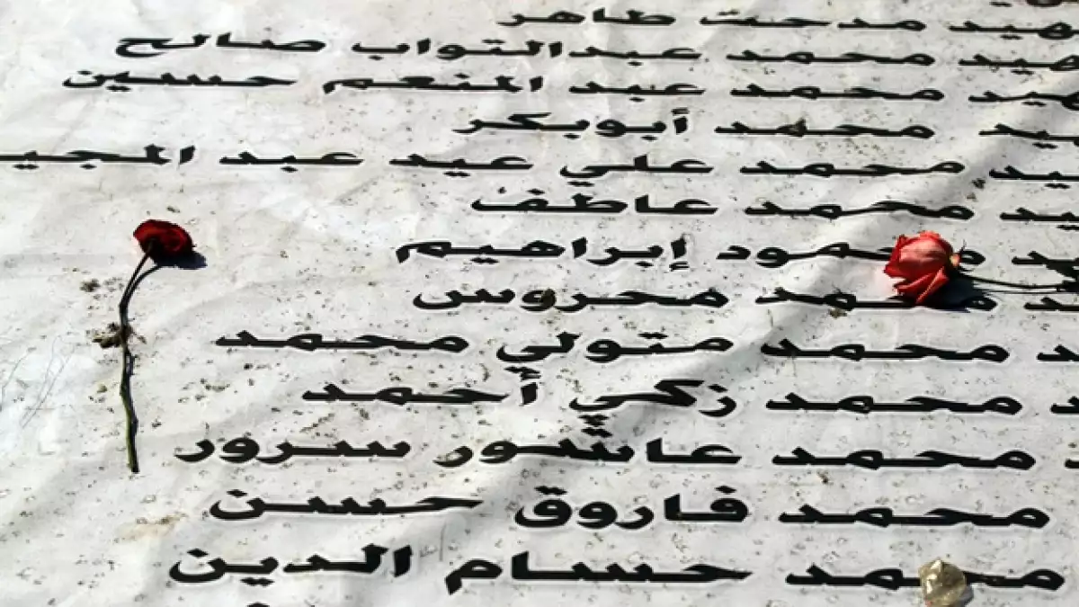 egipto rosas