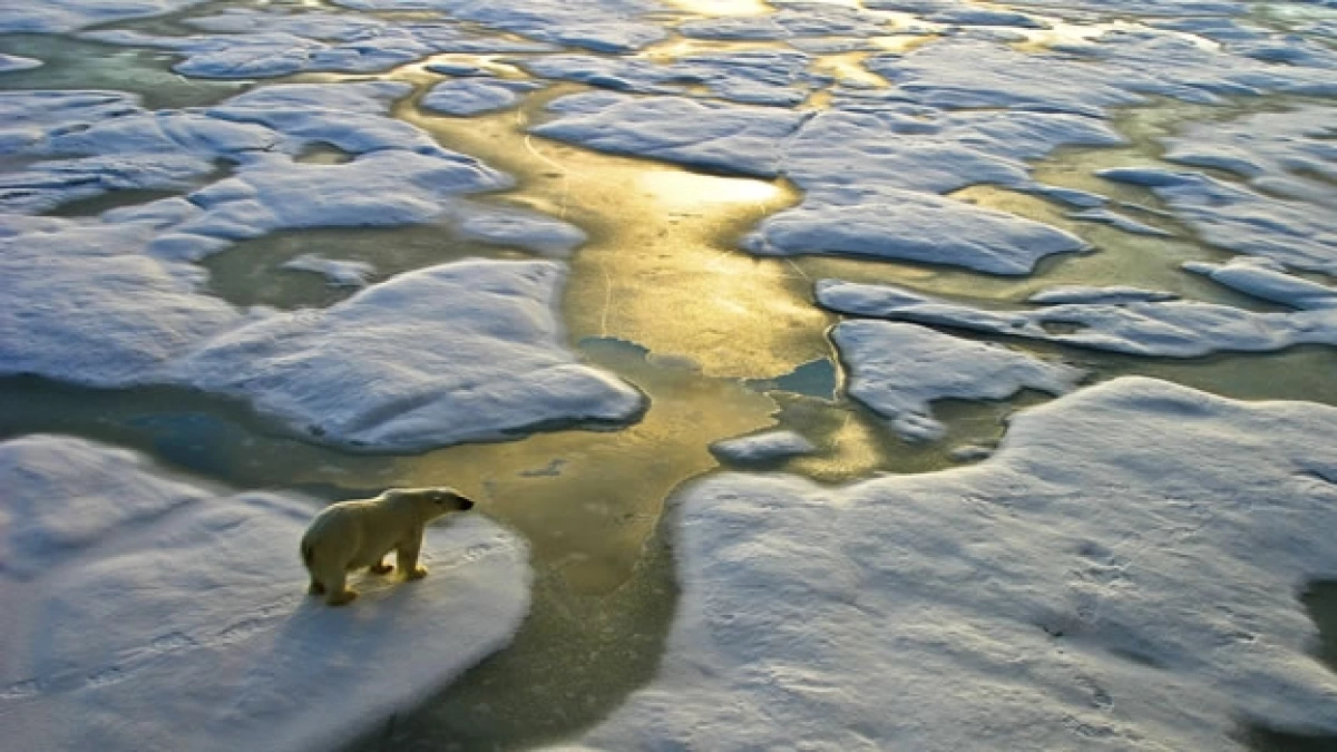 El derretimiento de los glaciares en el océano Ártico es uno de los signos de los efectos del cambio climático en el planeta