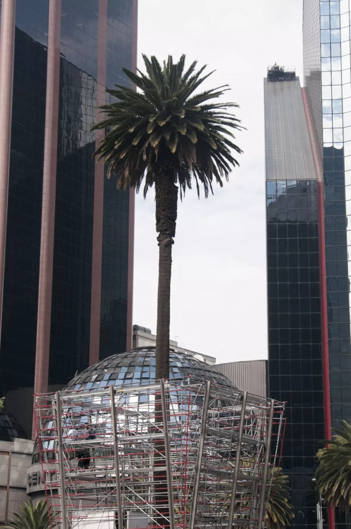 instalacion-luz-glorieta-palma-