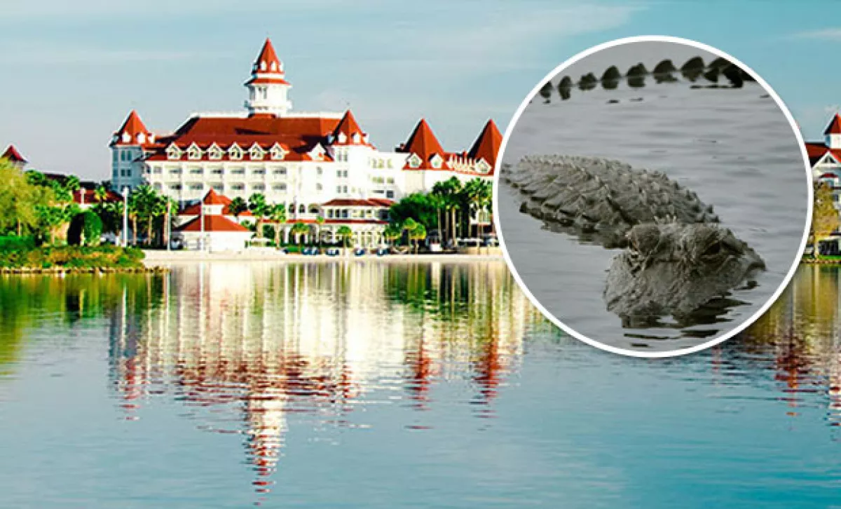 El pequeño fue encontrado intacto y la autopsia reveló que murió ahogado cerca del hotel Floridian de Disney World en Orlando.