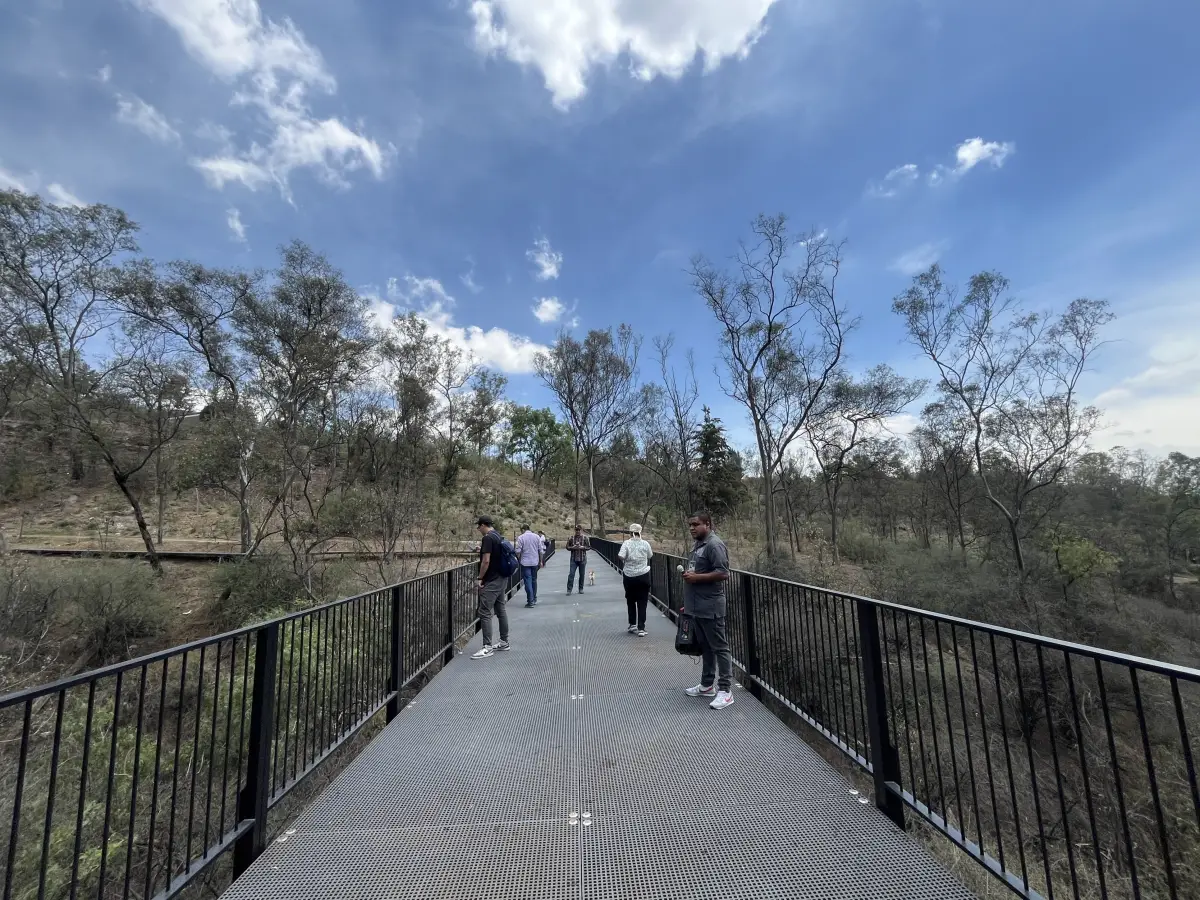 Serpientes y escaleras, la zona oculta de Chapultepec para hacer senderismo y bici
