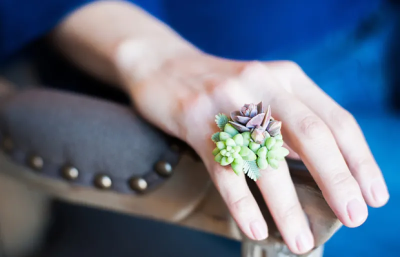 Distintos diseñadores han desarrollado un nuevo estilo de joyería, la ecológica.Con distintos modelos como mini macetas, anillos y collares, han encontrado la forma de llevar tu jardín a todos lados.