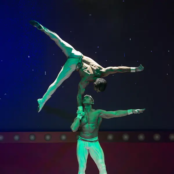 Cirque Du Solei
