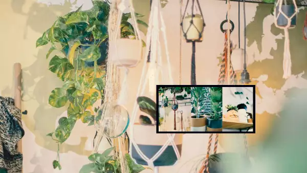 plantas-docmilio-cdmx