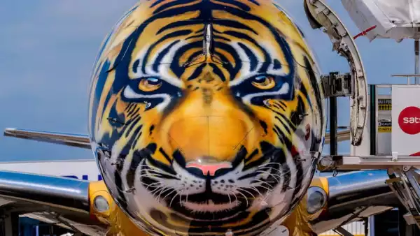 Librea de tigre