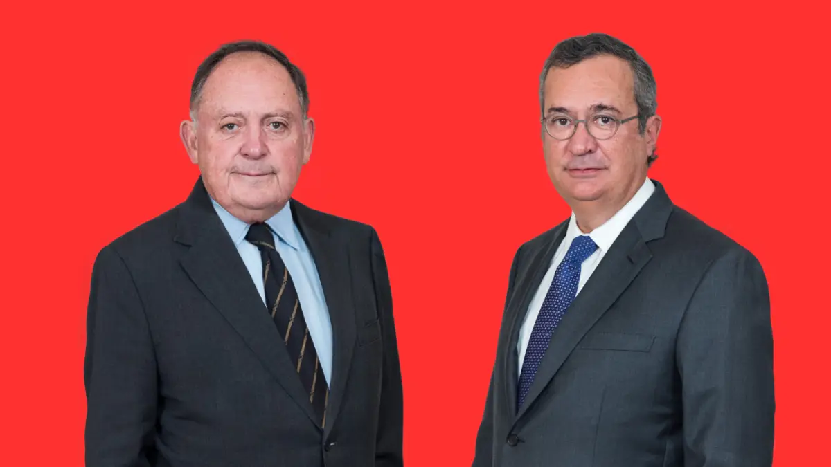 alfa-proceso-sucesion.png