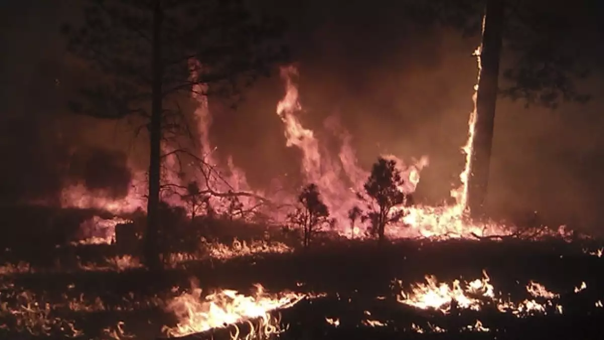 incendio_nuevomexico