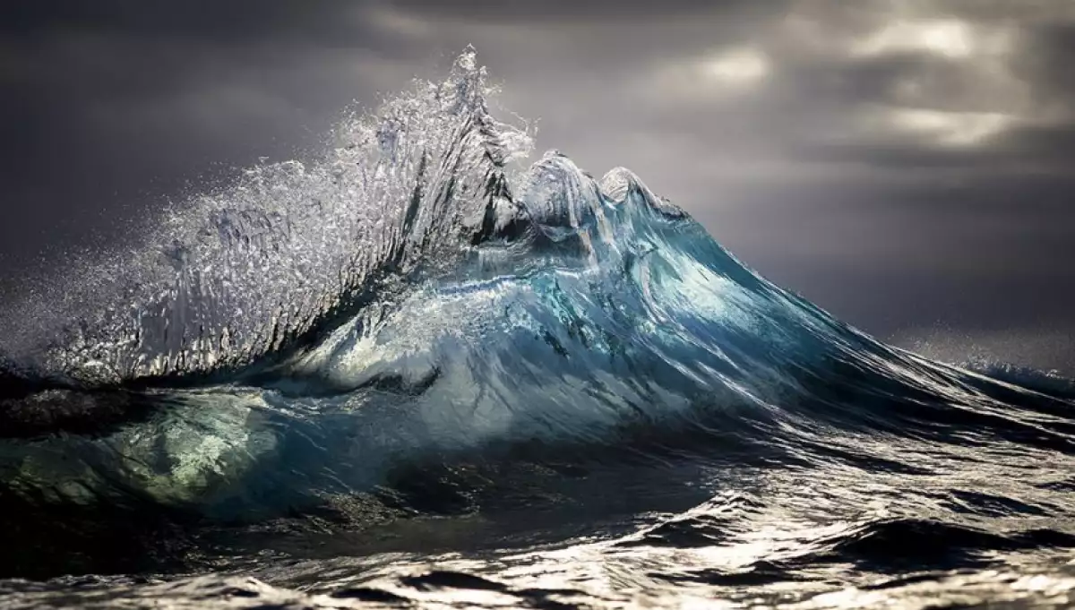 Ray Collins