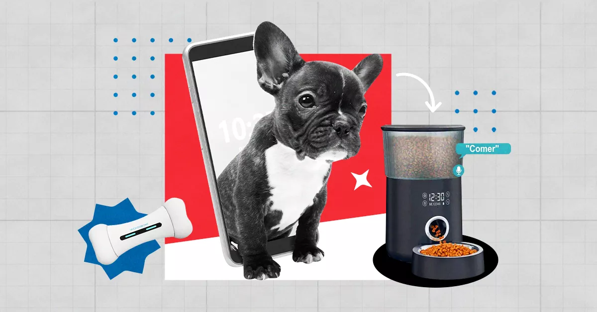 Gadgets y apps para celebrar el Día Mundial del perro