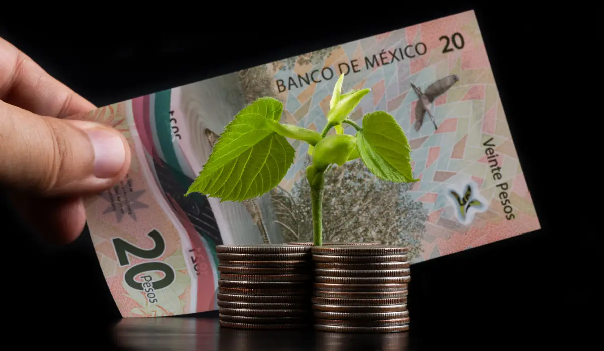 Stacks of coins, a young sprout with green leaves and a 20 mexican peso note
