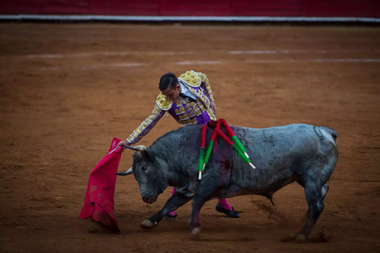Mario Aguilar