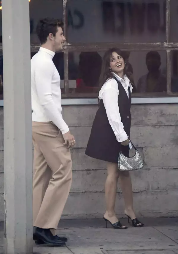 Camila Cabello, Shawn Mendes