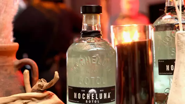 Nocheluna el sotol de lenny kravitz