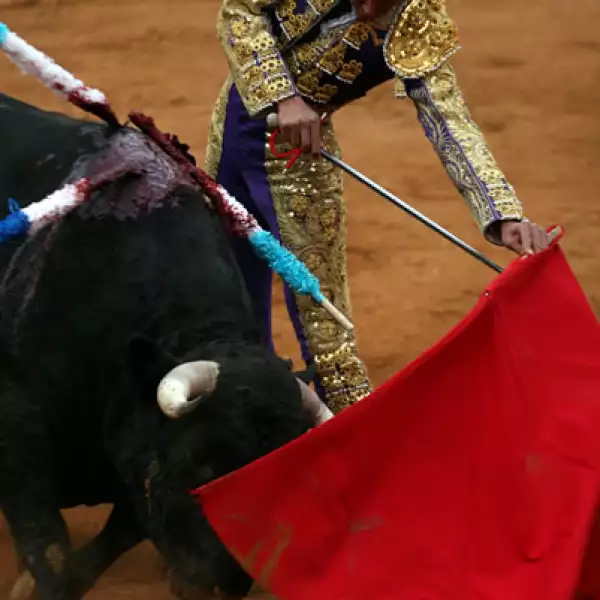 Corrida de Toros 15/02
