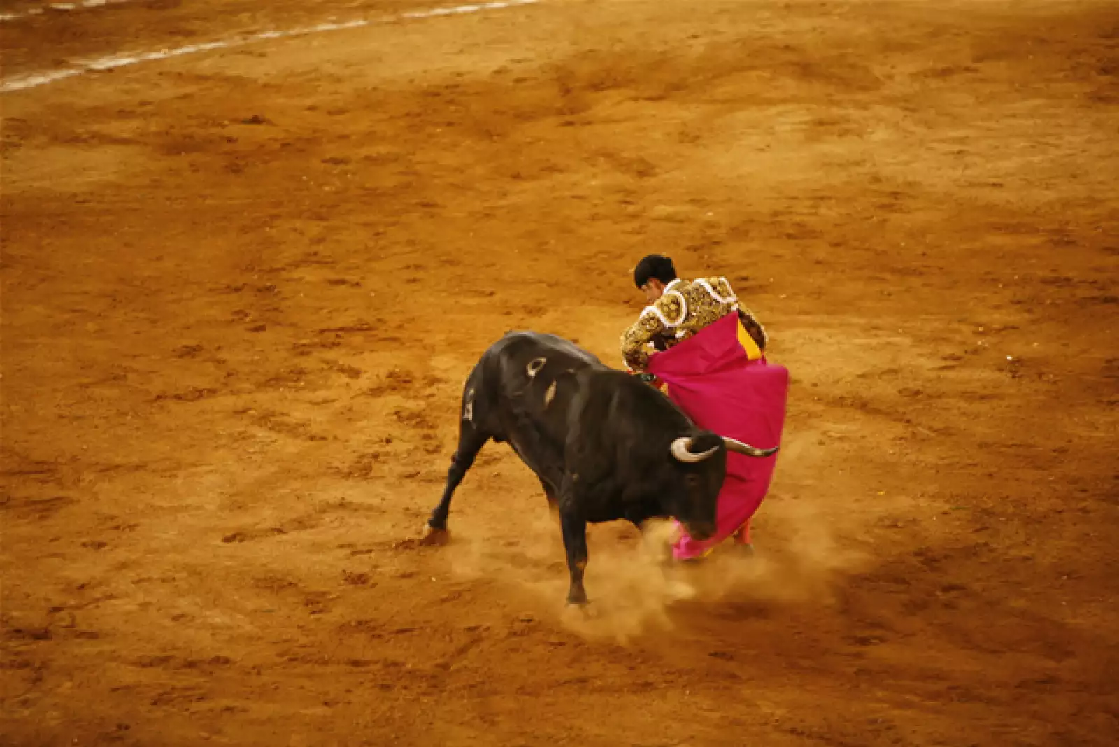Aniversario Plaza de Toros